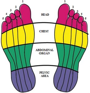 Reflexology foot massage therapy